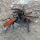 Creature Feature: Tarantula Hawk Wasp