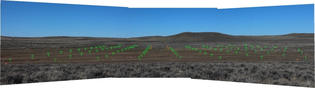 Image shows a digital landscape of the field site: a large, open space with hills in the background. Across the image, the observation grid has been overlayed and highlighted in green.